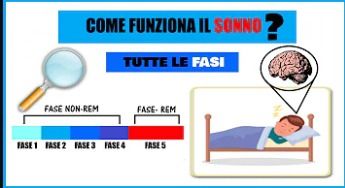 Quante ore si dorme con Zolpidem