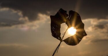 Chiudere una Storia CON il SILENZIO