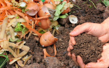 Che Vuol Dire Compost